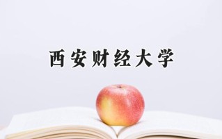 2024西安财经大学录取分数线：天津最低536分