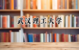 武汉理工大学2024在福建录取分数线是多少？最低582分/最高635分