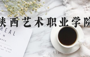 2025年陕西艺术职业学院在河南计划招生人数（附学费及专业录取分)