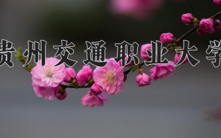 2025年贵州交通职业大学在河南计划招生人数（附学费及专业录取分)