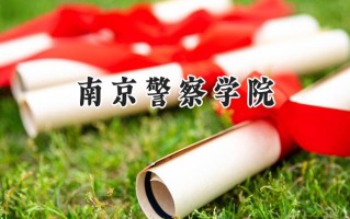南京警察学院2024在上海录取分数线是多少？最低415分/最高501分