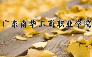 2025年广东南华工商职业学院在四川计划招生人数（附学费及专业录取分)