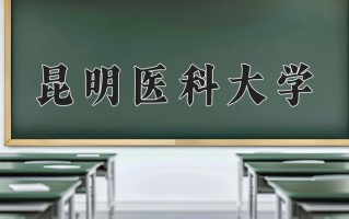 2025年昆明医科大学在河南计划招生人数（附学费及专业录取分)