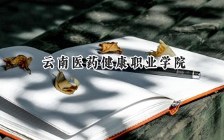 2024云南医药健康职业学院录取分数线：宁夏最低324分