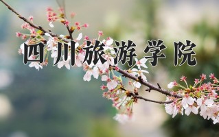 2025年四川旅游学院在河南计划招生人数（附学费及专业录取分)