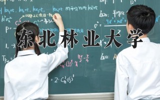 2025年东北林业大学在河南计划招生人数（附学费及专业录取分)