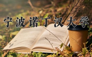2025年宁波诺丁汉大学在四川计划招生人数（附学费及专业录取分)