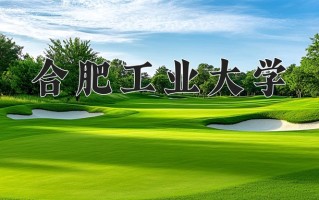 2025年合肥工业大学在河南计划招生人数（附学费及专业录取分)