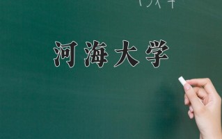 2025年河海大学在新疆计划招生人数（附学费及专业录取分)