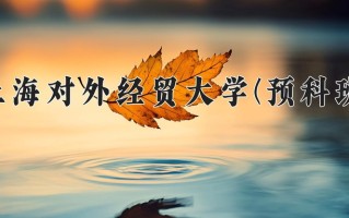 2025年上海对外经贸大学(预科班)在重庆计划招生人数（附学费及专业录取分)