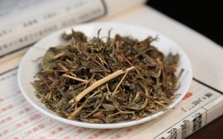 喝半年蒲公英煮水，肺结节竟这样了！
