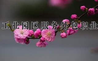 2025年苏州工业园区服务外包职业学院在河南计划招生人数（附学费及专业录取分)