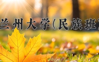2025年兰州大学(民族班)在重庆计划招生人数（附学费及专业录取分)