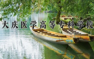 2024年大庆医学高等专科学校录取分数线，青海最低298分