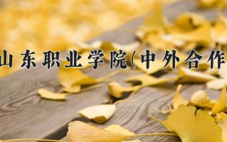 2025年山东职业学院(中外合作)在重庆计划招生人数（附学费及专业录取分)
