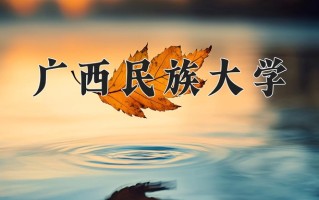 2025年广西民族大学在四川计划招生人数（附学费及专业录取分)