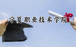 2024宁夏职业技术学院录取分数线：宁夏最低362分