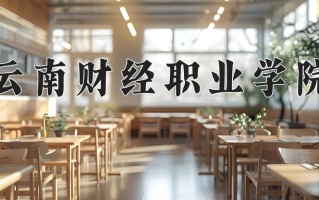 2025年云南财经职业学院在四川计划招生人数（附学费及专业录取分)