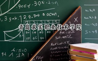 青岛求实职业技术学院2024在青海录取分数线是多少？最低221分/最高295分