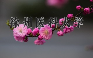 2025年徐州医科大学在新疆计划招生人数（附学费及专业录取分)