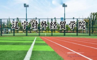 2024辽宁对外经贸学院录取分数线：陕西最低383分