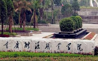 2024年重庆能源职业学院录取分数线，河北最低285分