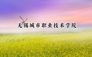 2024无锡城市职业技术学院录取分数线：江苏最低412分
