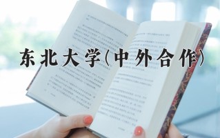 2025年东北大学(中外合作)在河北计划招生人数（附学费及专业录取分)