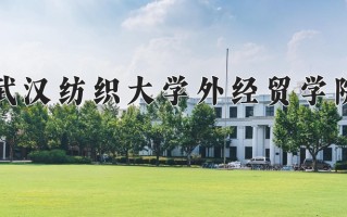 2025年武汉纺织大学外经贸学院在新疆计划招生人数（附学费及专业录取分)