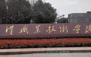 2024年武汉职业技术学院录取分数线，河北最低434分