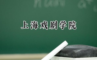 上海戏剧学院2024在上海录取分数线是多少？最低526分/最高548分