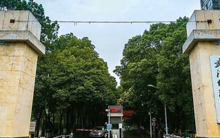 2024年武汉纺织大学录取分数线，河北最低516分