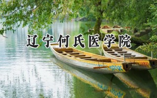 2024辽宁何氏医学院录取分数线：陕西最低418分