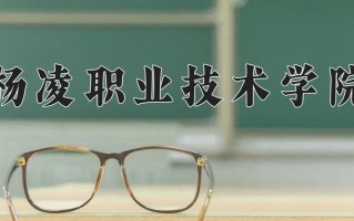 2025年杨凌职业技术学院在四川计划招生人数（附学费及专业录取分)
