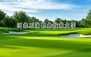 河北石油职业技术大学2024在上海录取分数线是多少？最低414分/最高419分
