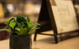一段线和本科线有什么区别？一段线和本科线的区别