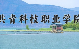 2025年共青科技职业学院在四川计划招生人数（附学费及专业录取分)