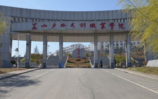 体育艺术表演学费多少？附河南2024年招生的大学