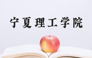 2025年宁夏理工学院在河南计划招生人数（附学费及专业录取分)