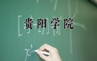 贵阳学院王牌专业有哪些？附2025最新王牌专业排名一览表