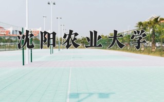 2025年沈阳农业大学在河南计划招生人数（附学费及专业录取分)
