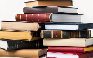2025年上海商学院在广东计划招生人数（附学费及专业录取分）