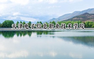 天津电子信息职业技术学院2024在山东录取分数线是多少？最低446分/最高464分