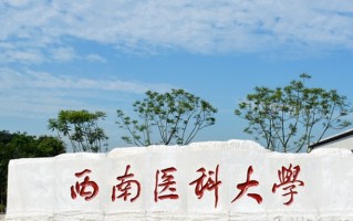 2024年西南医科大学录取分数线，河北最低533分
