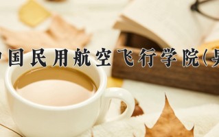 2025年中国民用航空飞行学院(男)在重庆计划招生人数（附学费及专业录取分)
