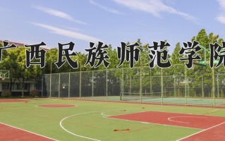 2025年广西民族师范学院在四川计划招生人数（附学费及专业录取分)