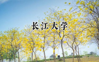 长江大学2024在福建录取分数线是多少？最低543分/最高582分