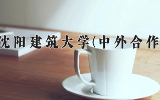 2025年沈阳建筑大学(中外合作)在重庆计划招生人数（附学费及专业录取分)
