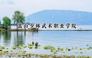 2024嵩山少林武术职业学院录取分数线：河南最低227分