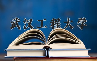 2025年武汉工程大学在新疆计划招生人数（附学费及专业录取分)